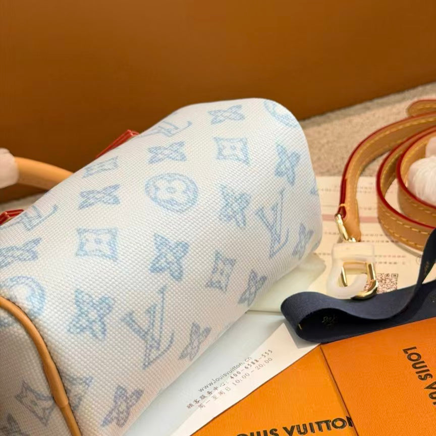 High-end Bag Customization - LV